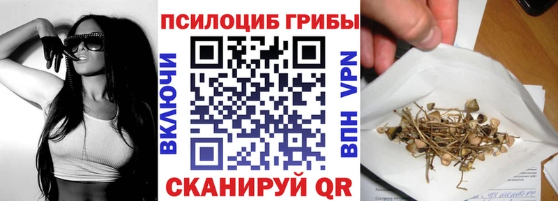Псилоцибиновые грибы Psilocybine cubensis  купить  сайты  это формула  Североморск 