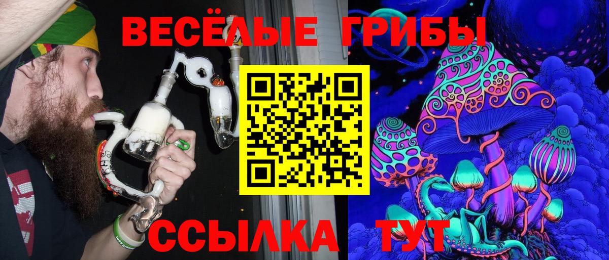 Галлюциногенные грибы Cubensis Североморск
