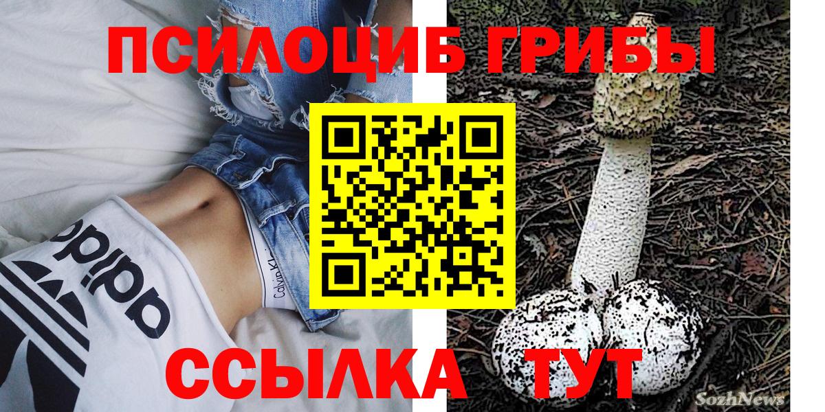 Псилоцибиновые грибы MAGIC MUSHROOMS  Вход с VPN  Галлюциногенные грибы GOLDEN TEACHER  Североморск 