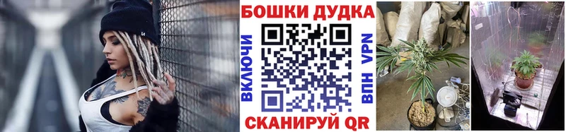 Конопля MAZAR  это телеграм  Североморск 
